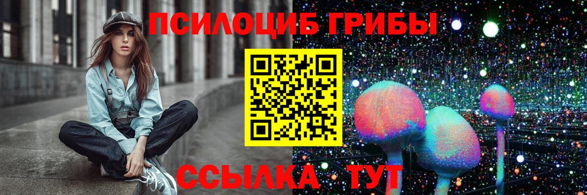 Новошахтинск  Псилоцибиновые грибы MAGIC MUSHROOMS  Вход с VPN 